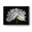 Éclairage du matin - Reproduction de photo sur toile-748523875-748523877