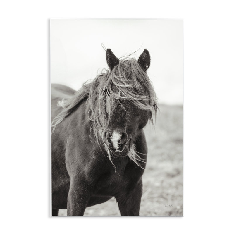 Art mural, "Wild pony with windy crinière", par Deborah Revell, H 19 po x l 13 po