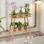 Support de table en bambou d'intérieur-594166318