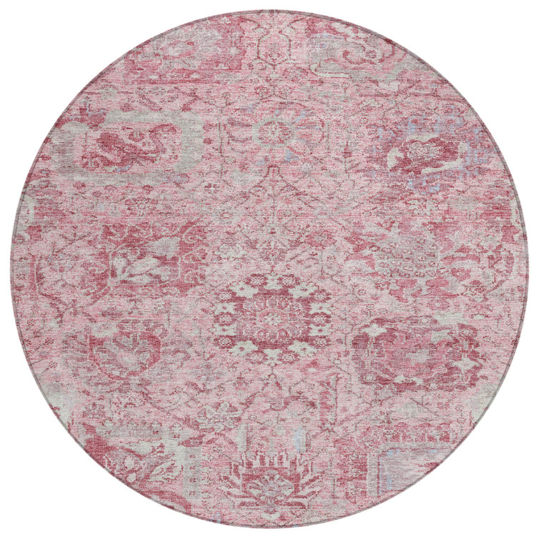 Segin Area Rug