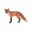 Red Fox Sculpture, Gel Coat