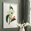 Turpin Tropical Botanicals, reproduction d'art encadrée - bois massif-1085351261-1085351270