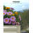 6x3x2ft / 8x4x2ft Galvanized Raised Garden Bed,Deep Root Planter Box for Vegetables,Flowers,Herbs-Large Metal Raised Garden Bed Kit Outdoor-30681978-30681976