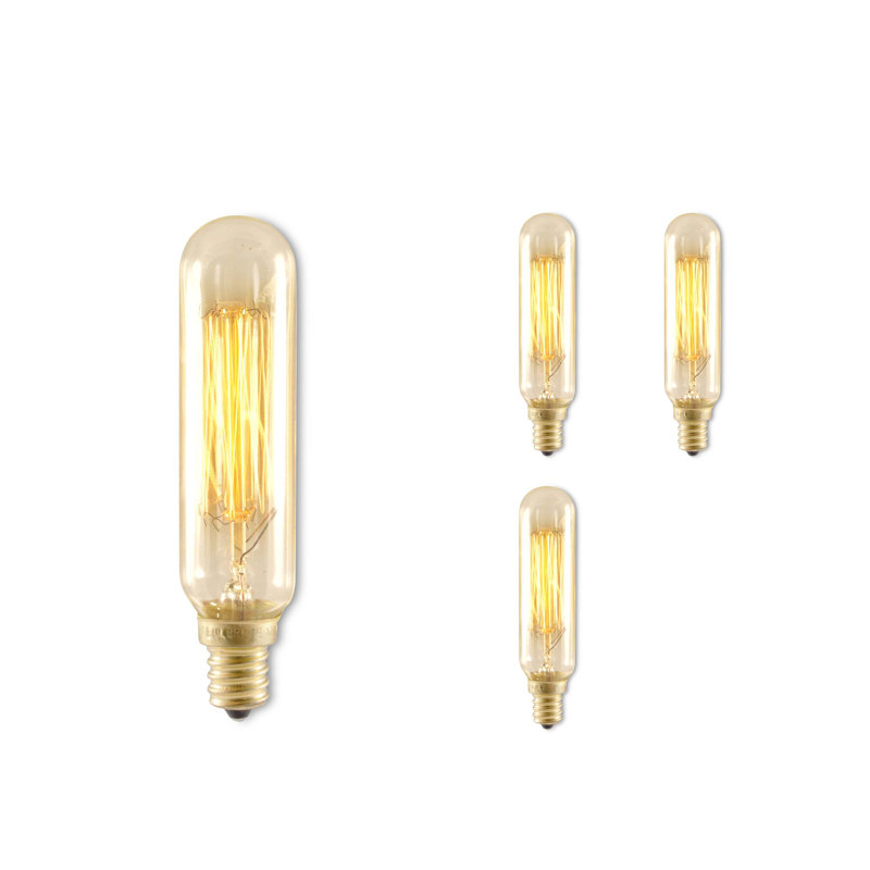 25 watts, ampoule incandescente à intensité variable T6 antique, base 2200K