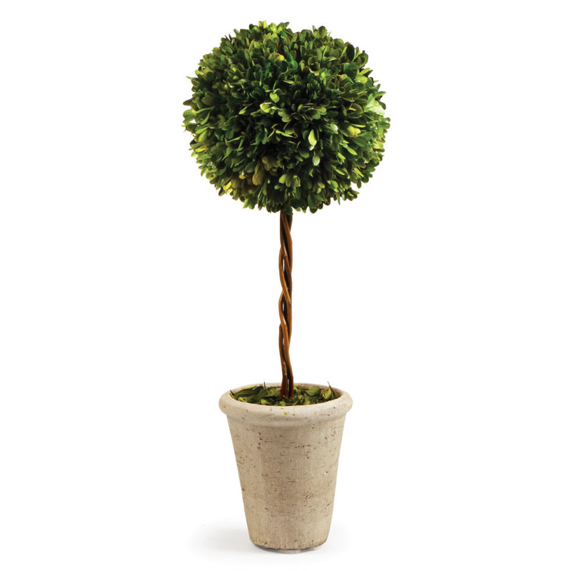 Preserved Greens 23.25" Single Ball Topiary, 23.25" H x 8" W x 8" D