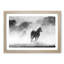 Horses - Picture Frame Painting Print-56711996-56711999