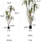 Faux Dracaena Tree Resin-59309634