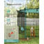 Small Animal Cage