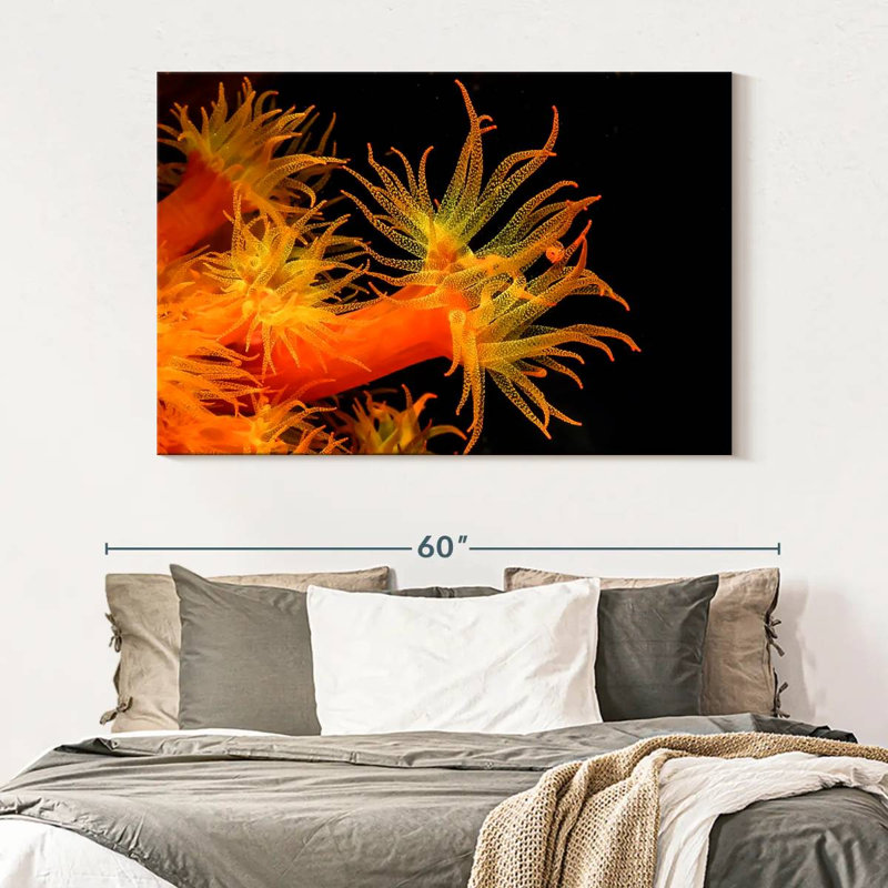 Brampt Sun Polyps, 34" H x 51" W