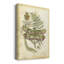 Regal Dragonfly III (PP) - impression sur toile tendue-1672688983