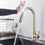 Robinet de cuisine escamotable Mosson