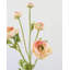 Real Touch Coran Ranunculus 22 po-762351730