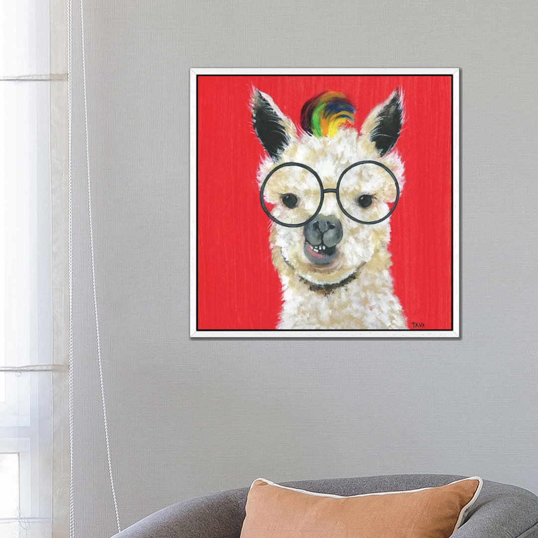 Llama Rockstar von Tava Studios - Galerie-verpackte Leinwand Giclée auf Leinwand