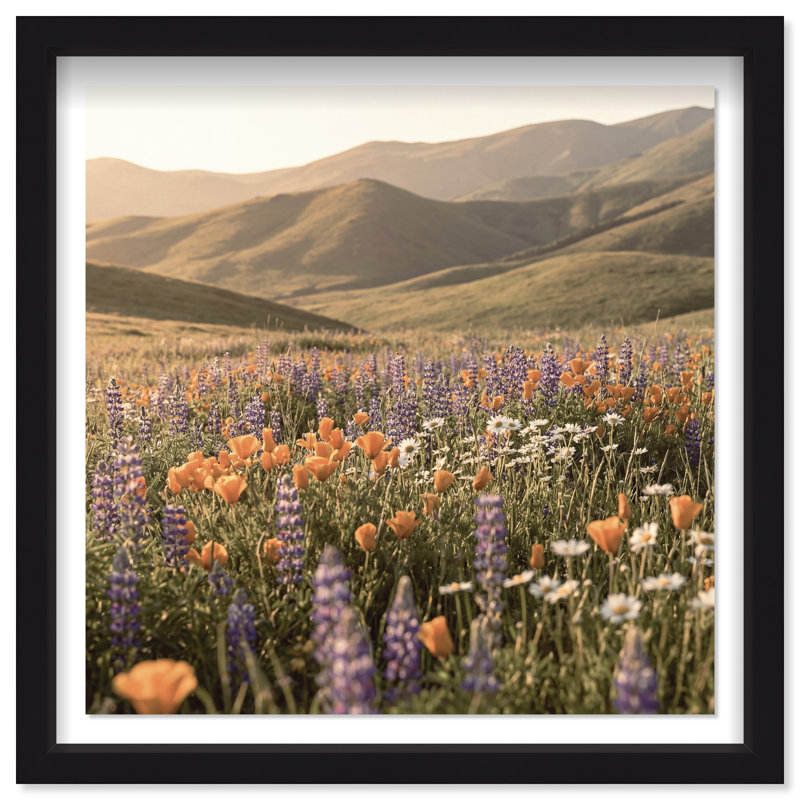 Lavender Hill Print by Oliver Gal, 21.5"H x 21.5"W, Black Shadowbox