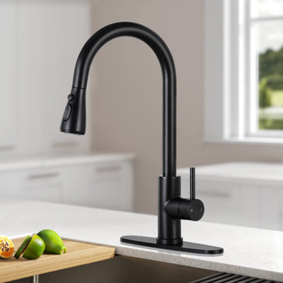 DORNBERG Pull Out Kitchen Faucet