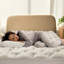 Protège-matelas ajusté en rayonne hypoallergénique Grindstaff-1352893024