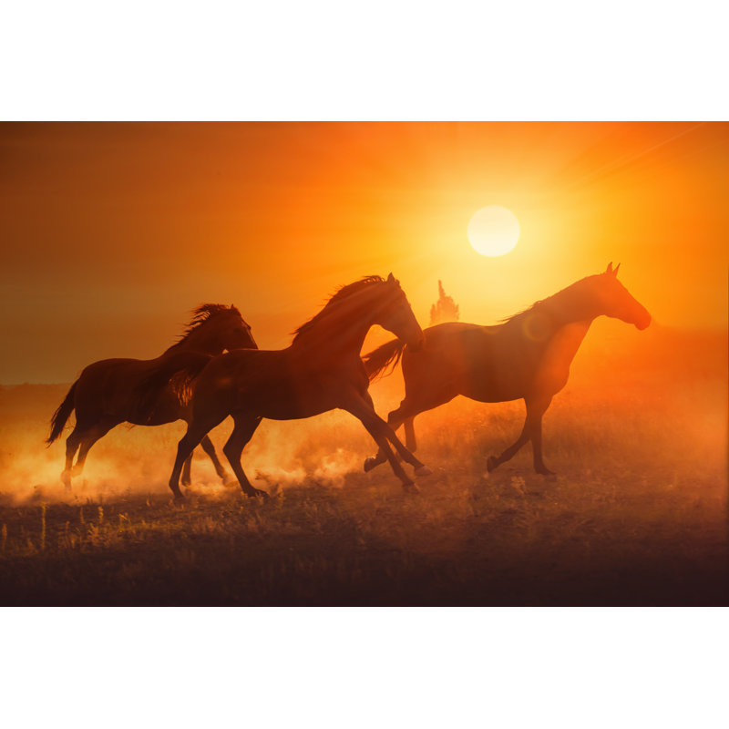 Ruithero Three Brown Horses 1 Piece Wrapped Canvas Wall Art, 51cm H x 76cm W x 3.8cm D