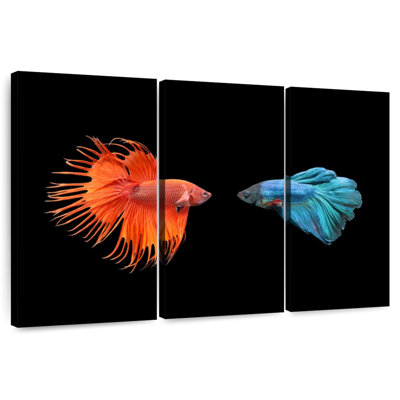 Brametta Betta Fish Meet