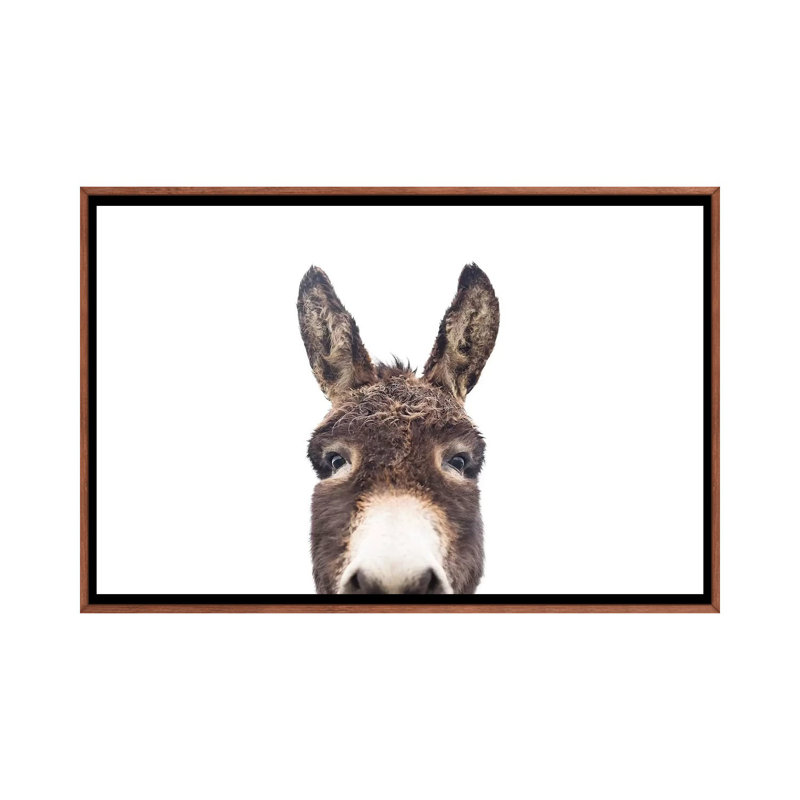 «Peeking Donkey» par Sissi & Seb - reproduction de photo, 18" H x 26" W x1.5" D, Classic Wood Frame, Pas de tapis