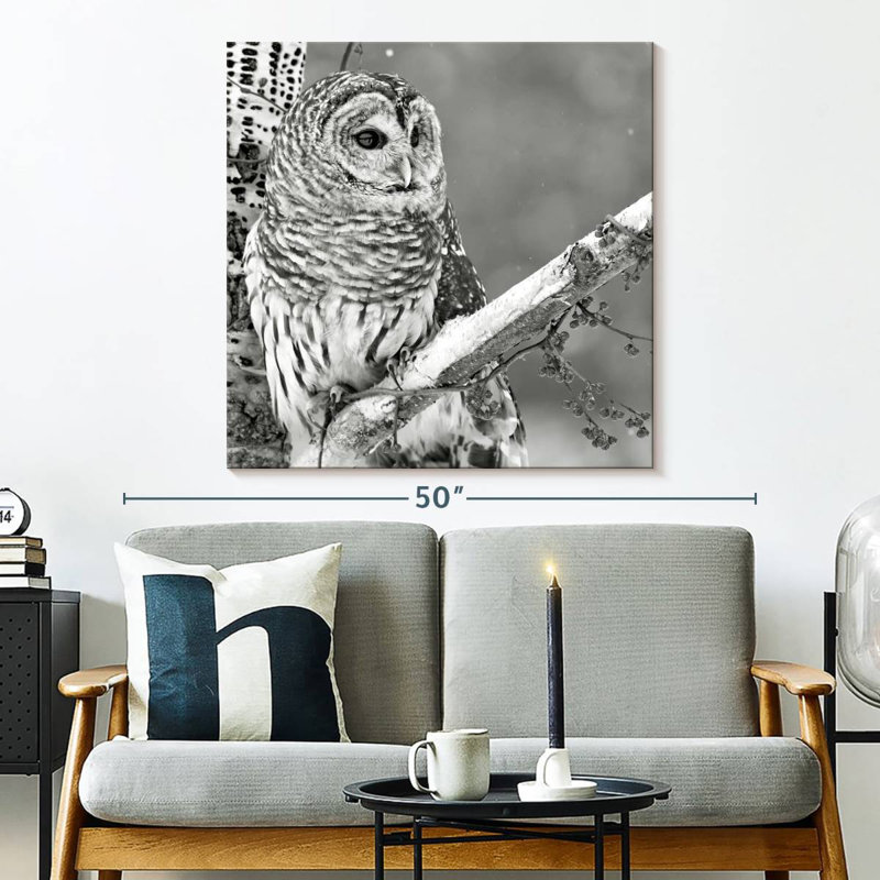 Hibou blanc Brampt BW, H 33 po x l 33 po