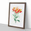 Red Peruvian Lily Flowers - Picture Frame Painting Print-55597998-55598000
