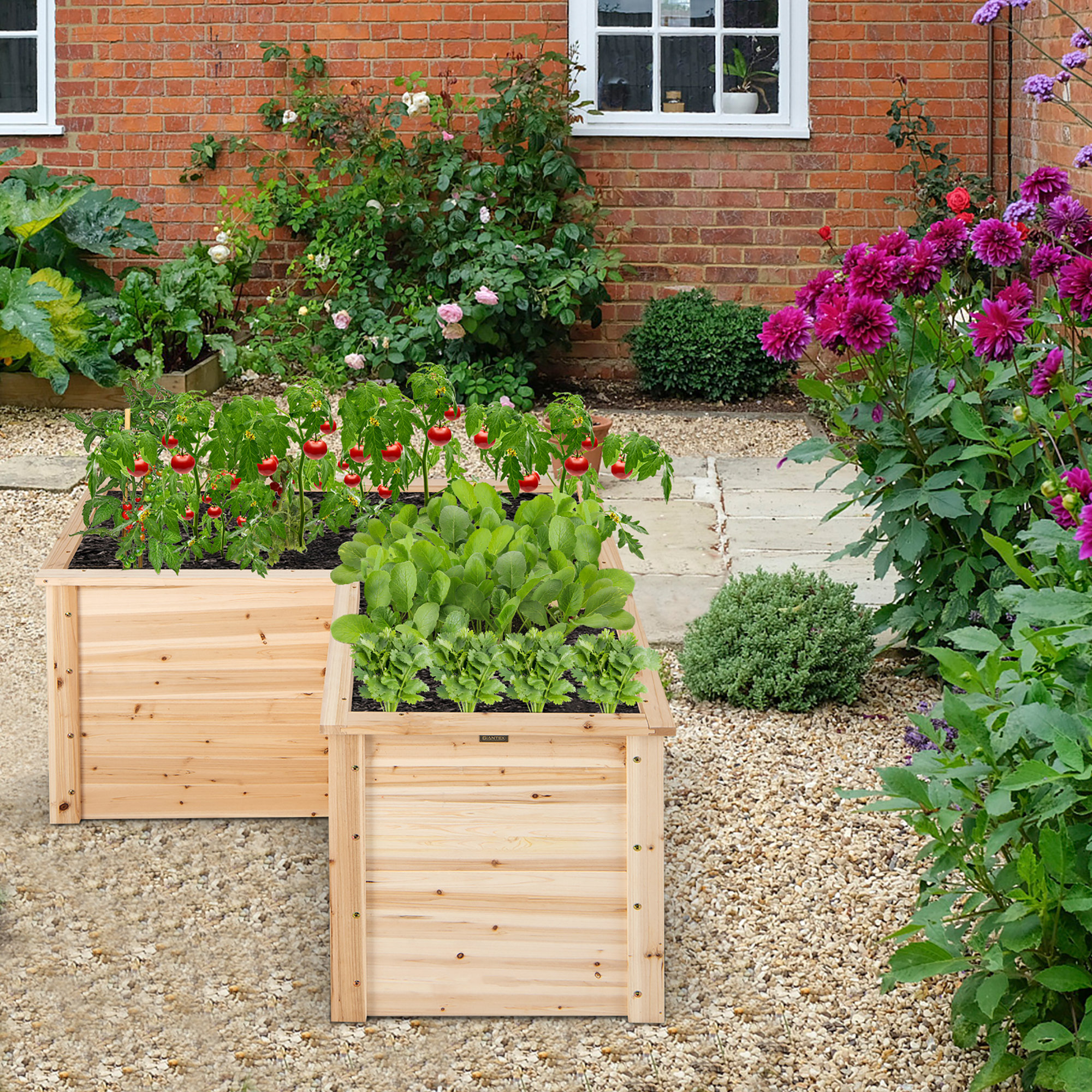 Costway 4 ft x 4 ft Wood Raised Garden Bed &amp; Reviews - Wayfair Canada
