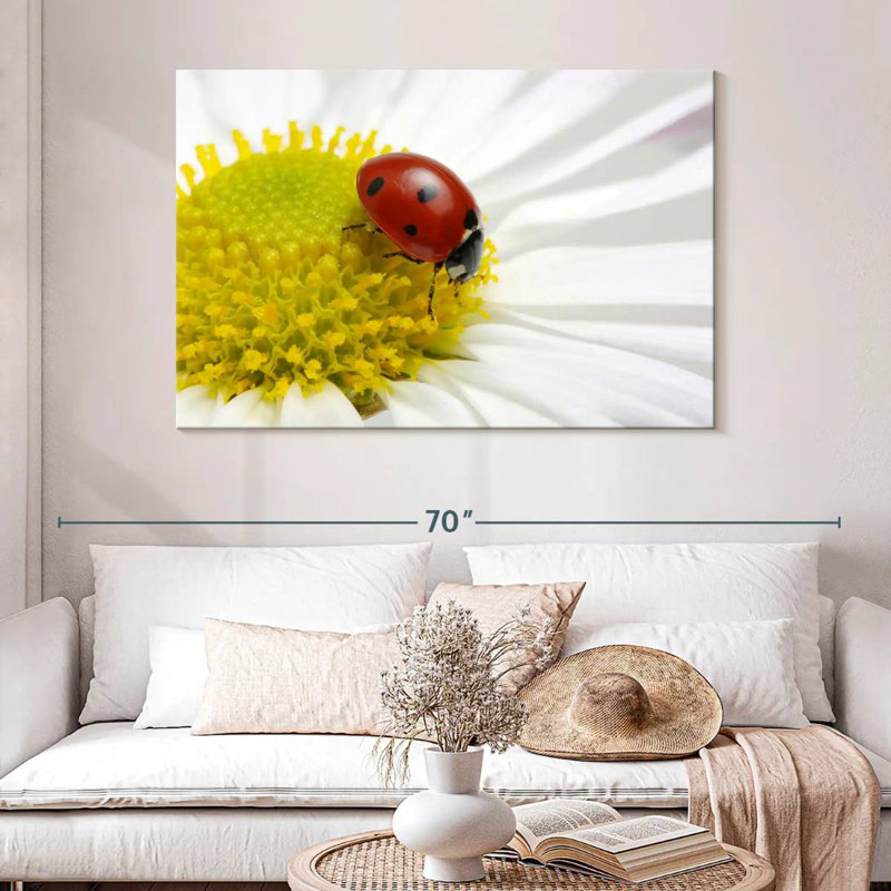 Crowle Ladybug sur camomille