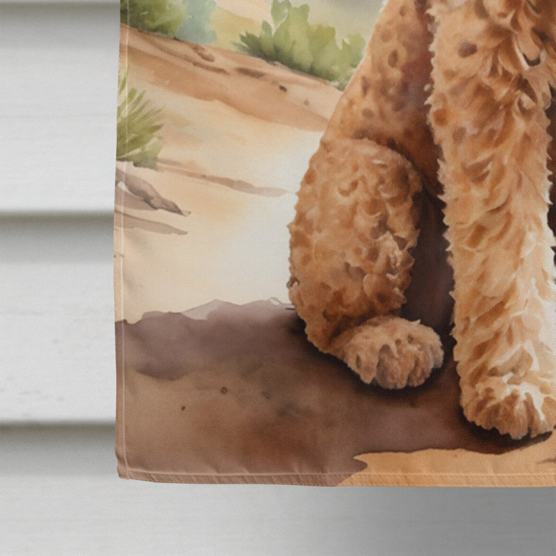 Drapeau Cowboy Welcome House, Goldendoodle