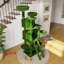 Arbre à chat stable à plusieurs niveaux avec poteaux à griffer en sisal pour maisons multi-chats-1752119485