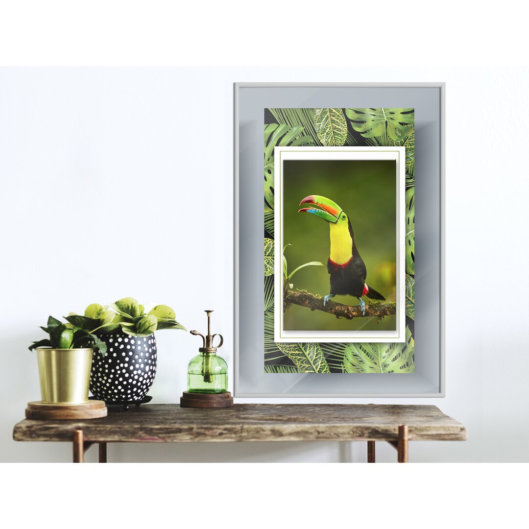 Gerahmtes Poster Toucan Im Rahmen