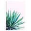 Agave Love - Print on Canvas-42155545-101336520