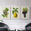 Antique Fruit VI - ensemble de 3 reproductions d'art sur toile-1071139948-1071139947