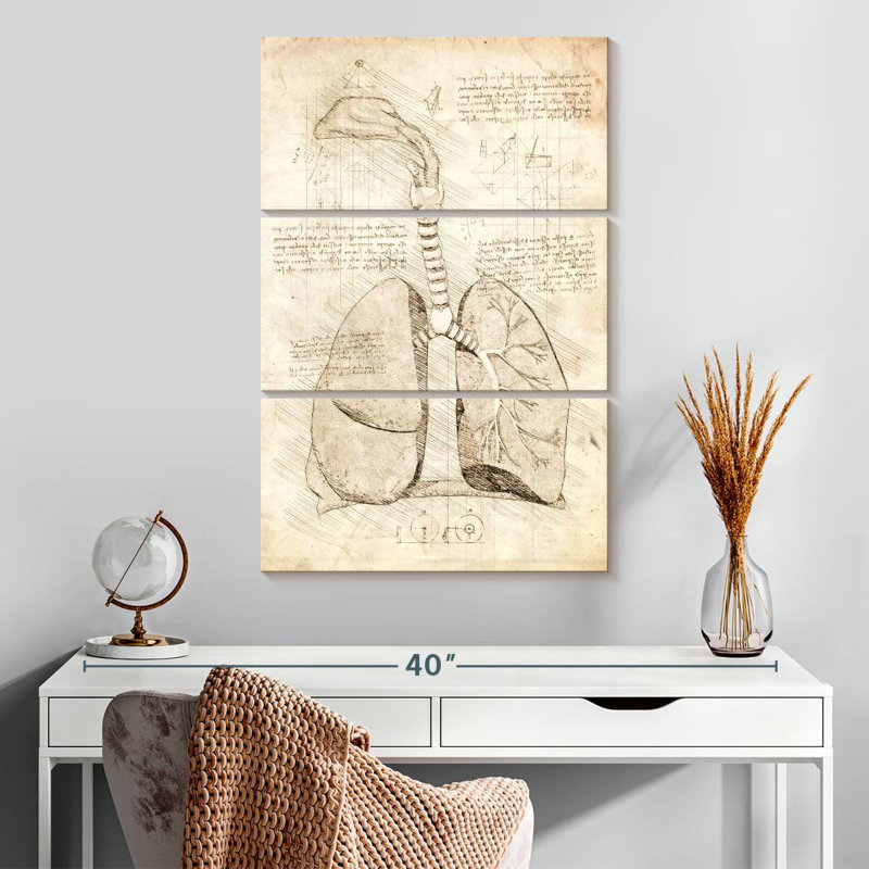 Keiri Human Respiratory System, 32'' H x 20'' W