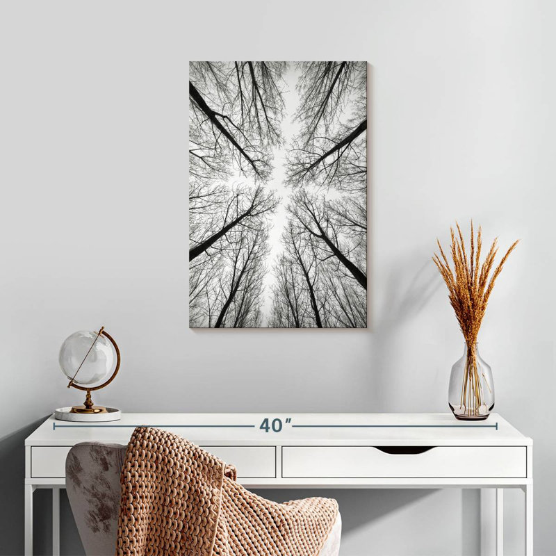 Harnek Monochrome Bare Trees, 24" H x 16" W