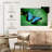 Blue Morpho On Leaf-1561926621
