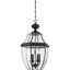 Lanterne suspendue d'extérieur 4 lumières Newbury-697481949