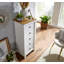 Carin 53cm Sideboard