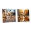 Golden Wheels - ensemble de 2 verres muraux en acrylique-103920763