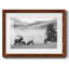 Mountain Elk - impression d'un seul cadre photo-314459178