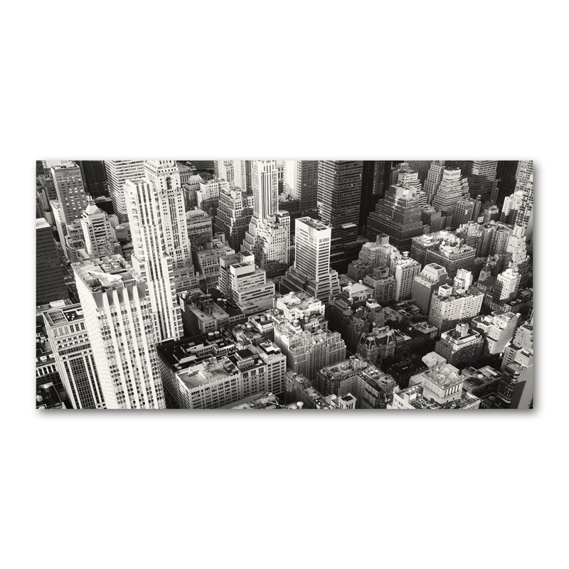 Zuria Black And White - New York Bird Flight - No Frame Print on Glass
