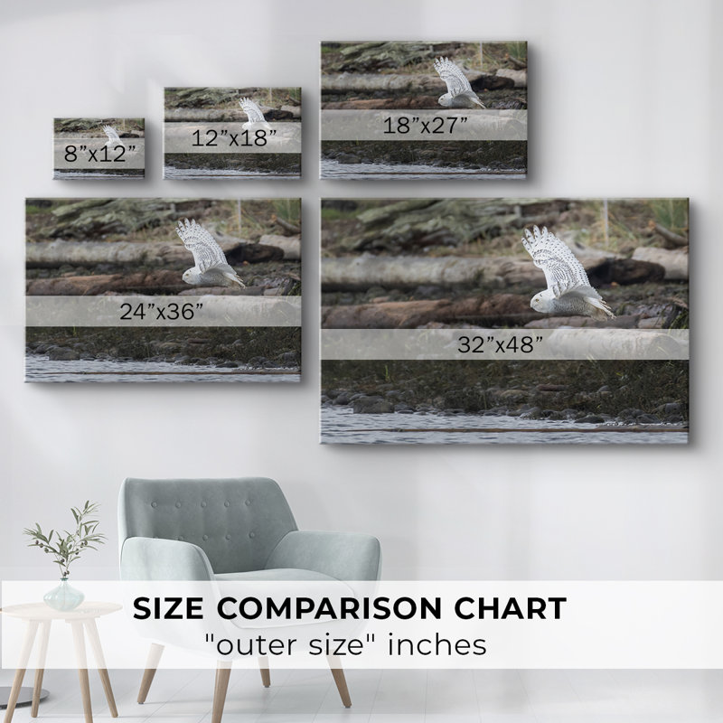 Solo Flight -Gallery Wrapped Cavas, 12" H x 18" W