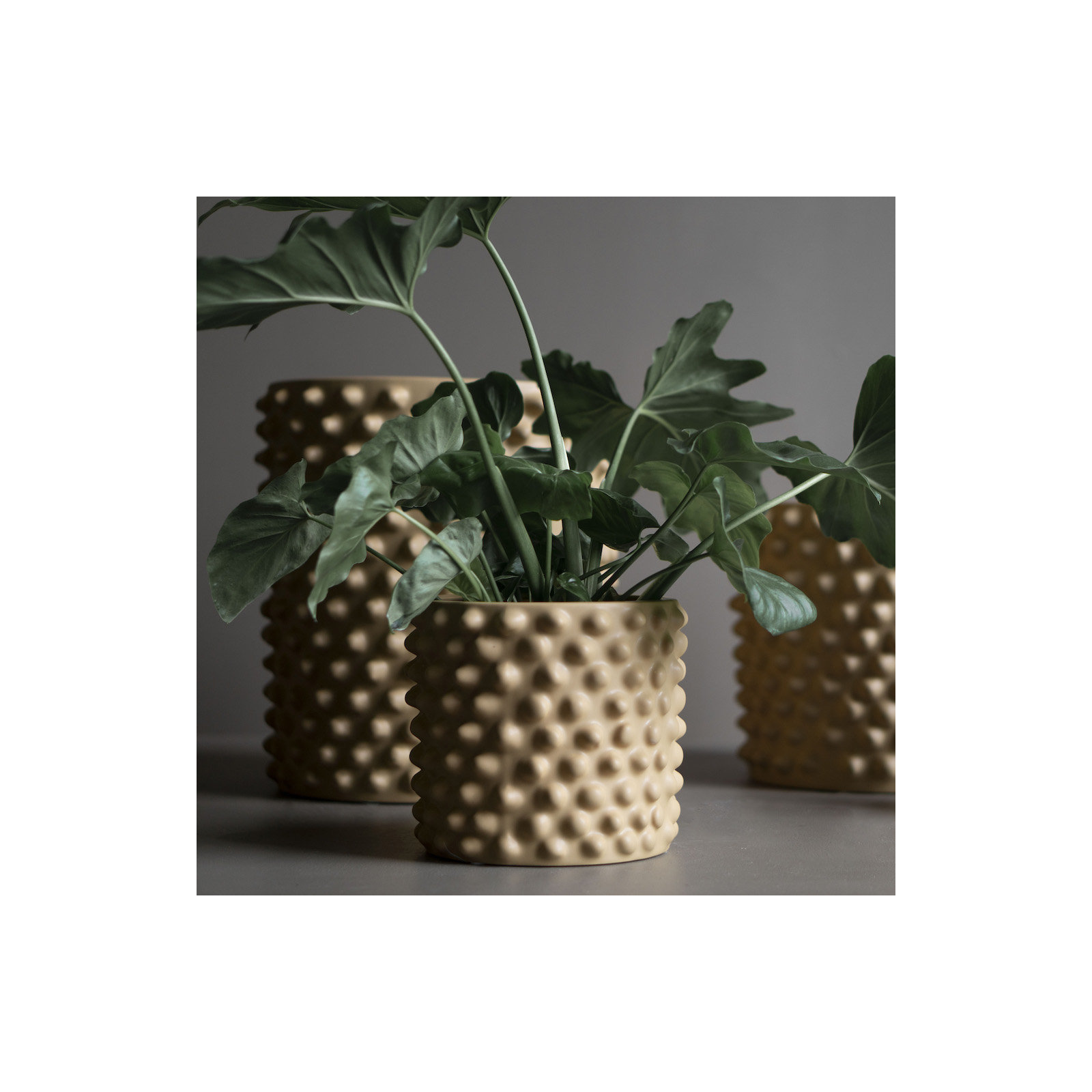Cloudy Ceramic Pot Planter, 7.09" H x 8.27" W x 8.27" D, Gray Beige