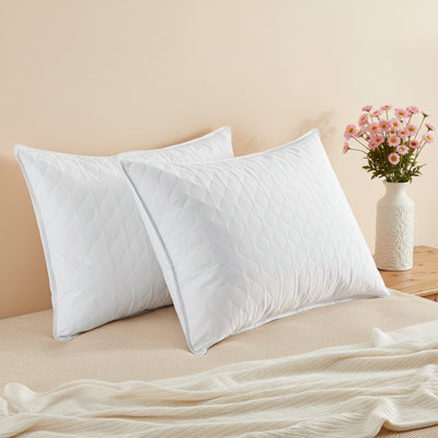 Ensemble de 2 oreillers en duvet d'oie grise avec support doux pour les dormeurs du dos