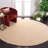 Assar Hand-Tufted Creme Area Rug-23564319