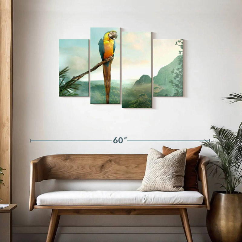 Blue And Gold Macaw, H 27 po x l 43 po