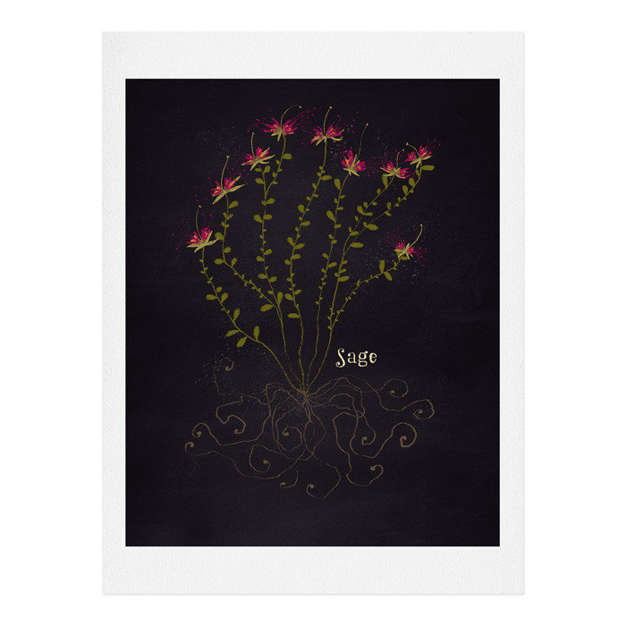 « herb jardin sage », impression, H 10 po x l 8 po x P 0,13 po