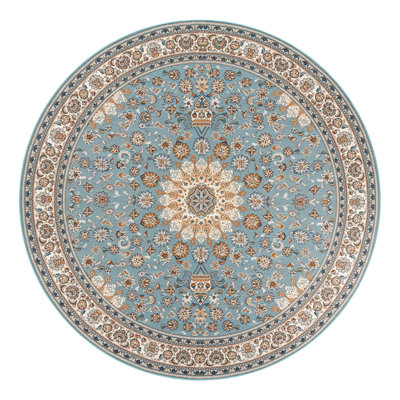 Indoor/Outdoor Traditional Area Rug