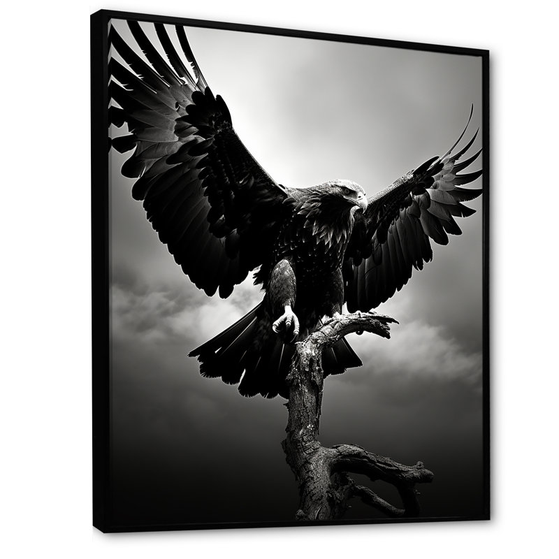 «Powerful Bold Eagle» - Imprimé, Cadre flottant noir, H 20 po x l 12 po x P 1 po