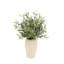 FLORAL ARRANGEMENT OLIVE VASE 30IN