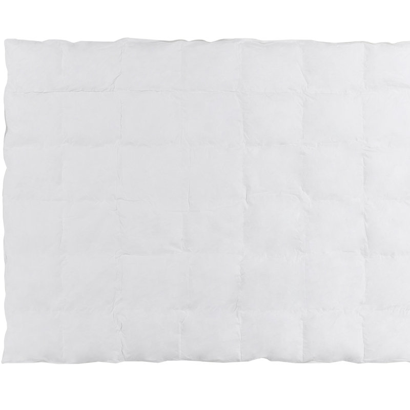 Duvet moyen, Très grand